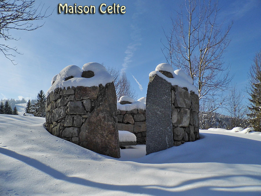 = maison Celte =